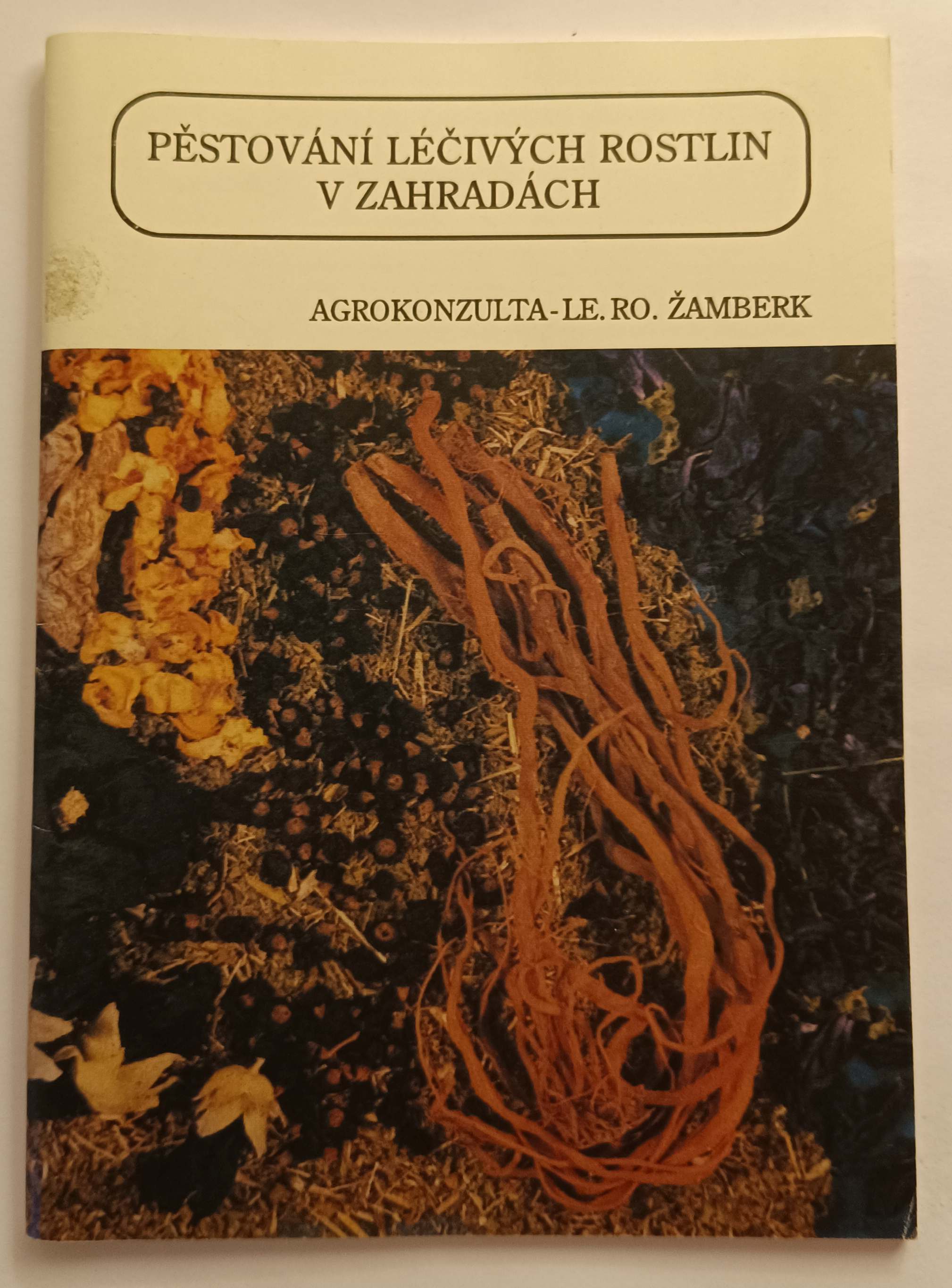 Pěstování léčivých rostlin v zahradách