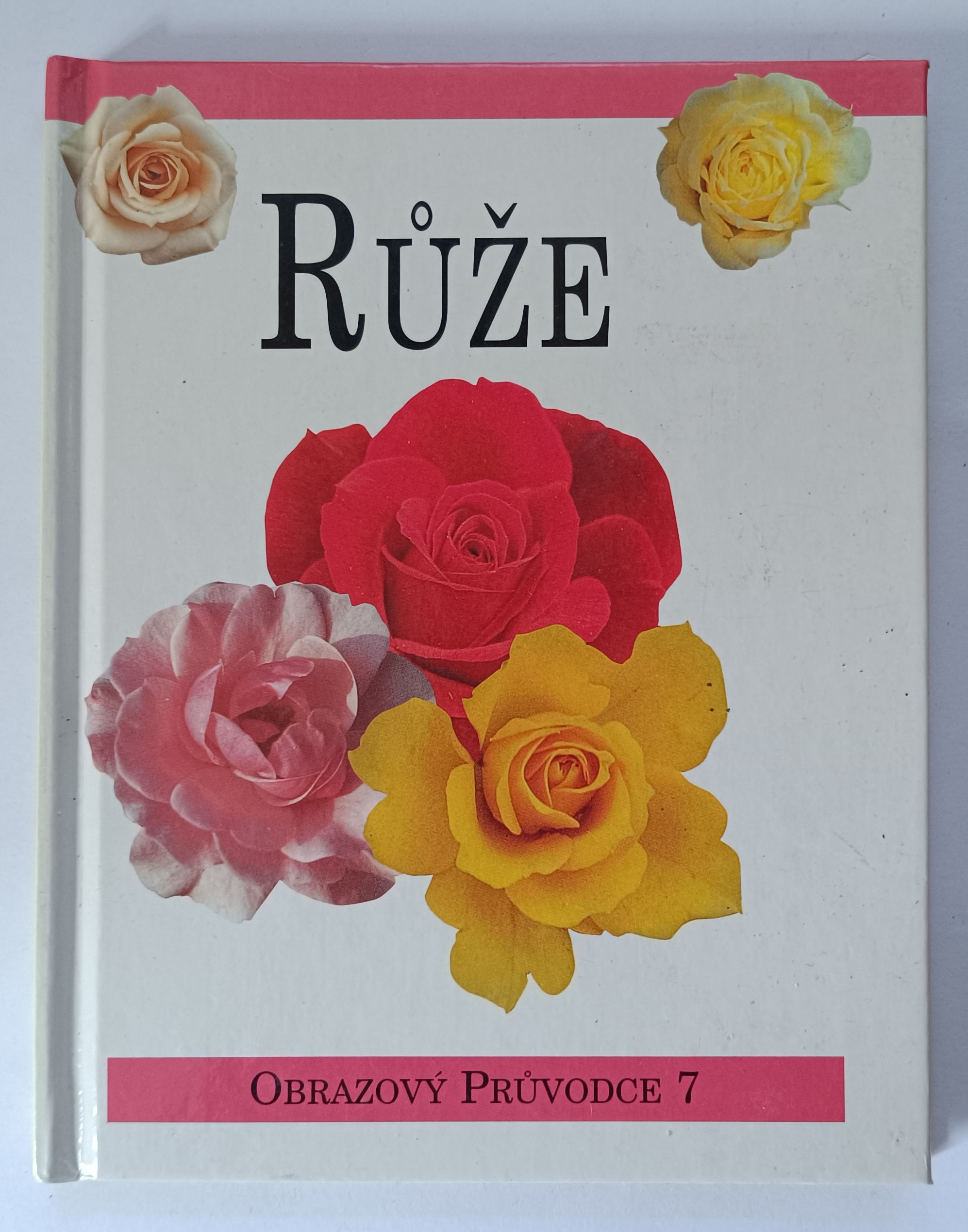 Růže