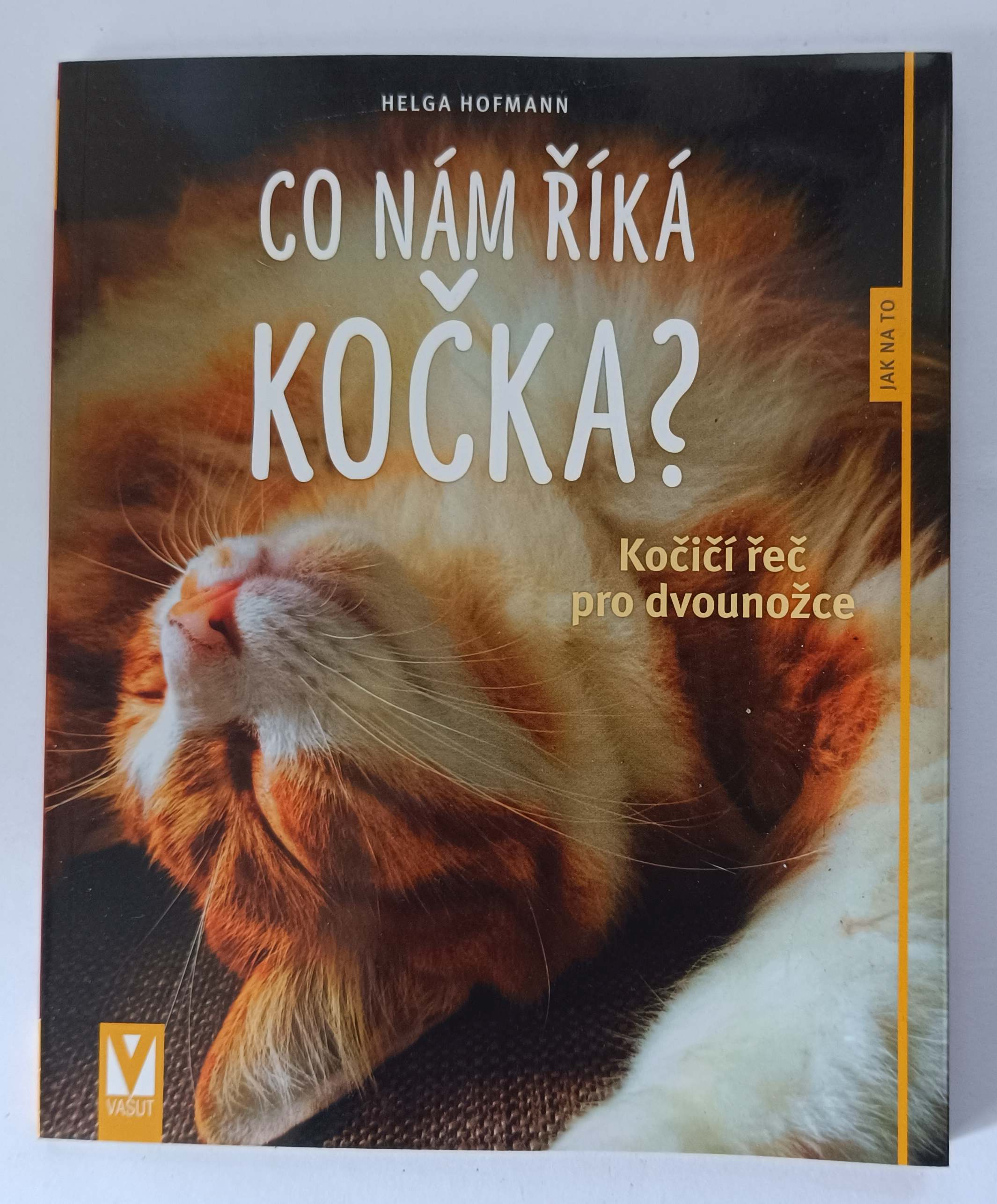 Co nám říká kočka?