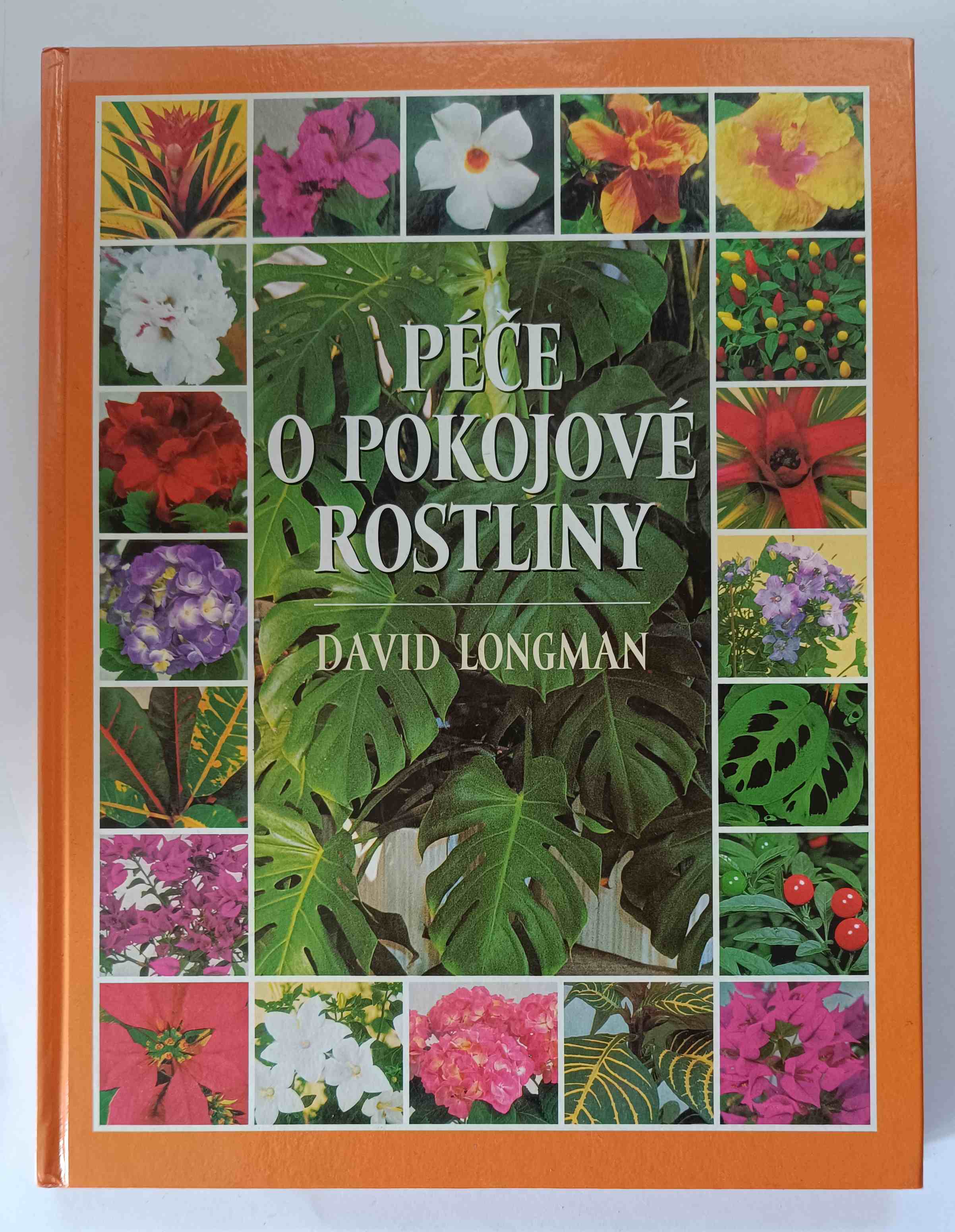Péče o pokojové rostliny