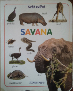 Svět zvířat. Savana