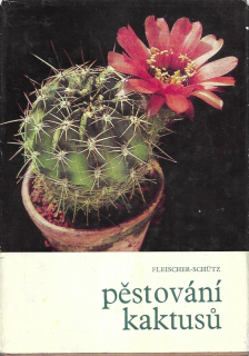 Pěstování kaktusů