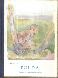 Polda : povídka ze života chudého chlapce