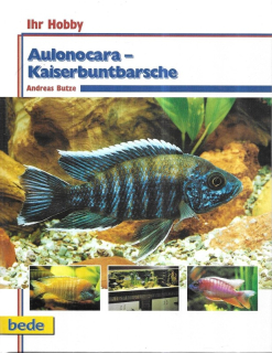 Aulonocara - Kaiserbuntbarsche