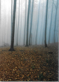 Tak i tak (možná) i jinak
