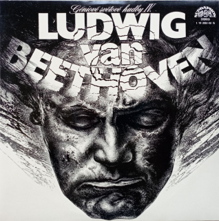 Ludwig van Beethoven 2 LP