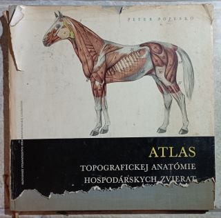 Atlas topografickej anatómie hospodárských zvierat. Diel II. Trup