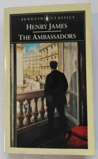 The  Ambassadors