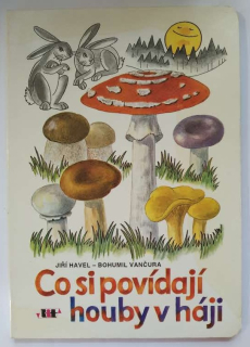 Co si povídají houby v háji